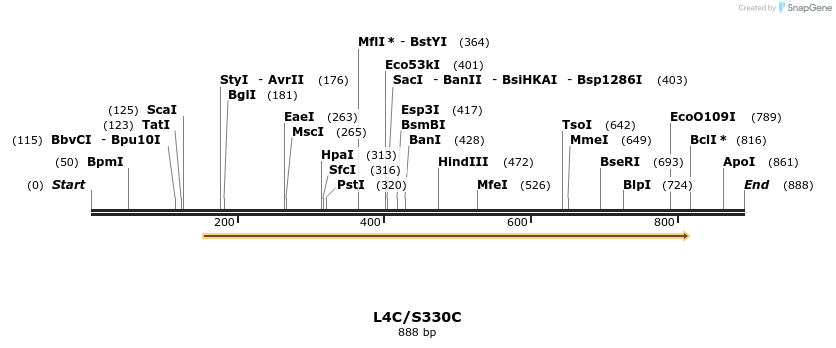 30371_map