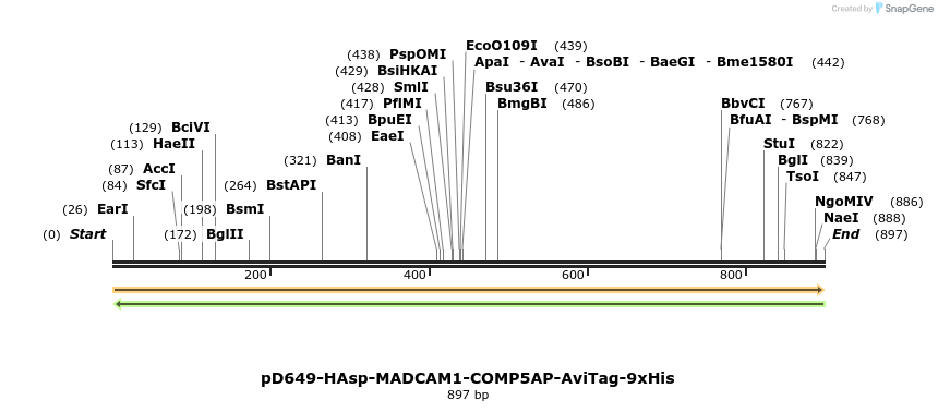303712_map