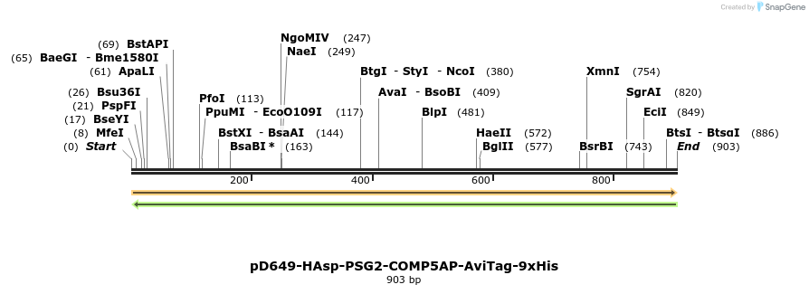 303714_map