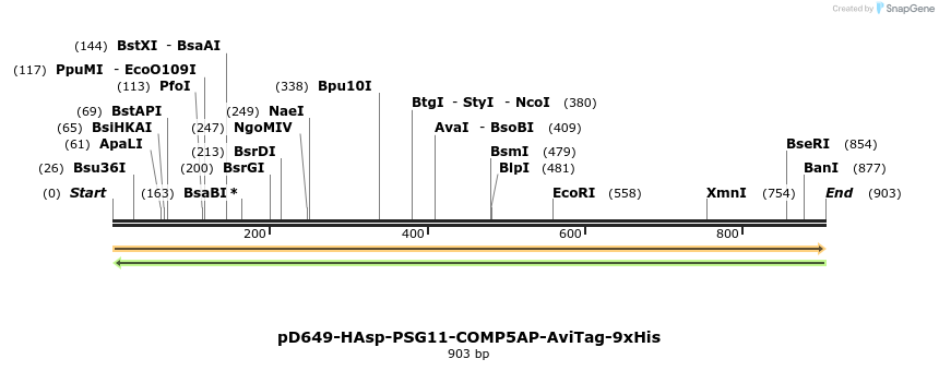 303718_map