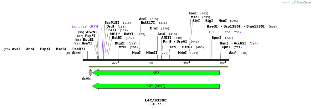30372_map