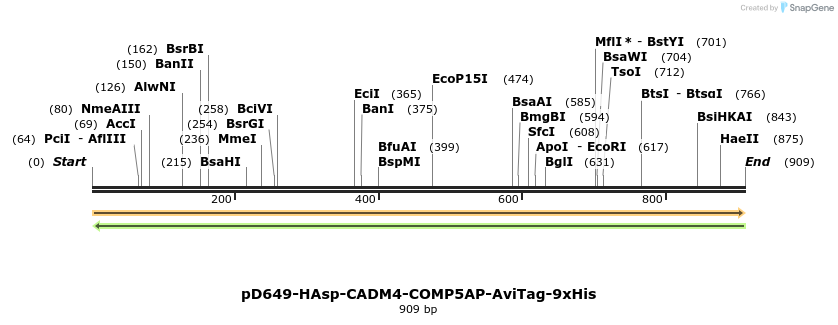 303720_map