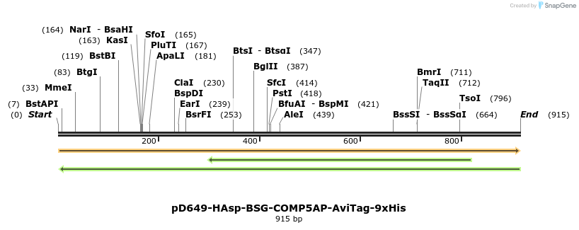 303722_map