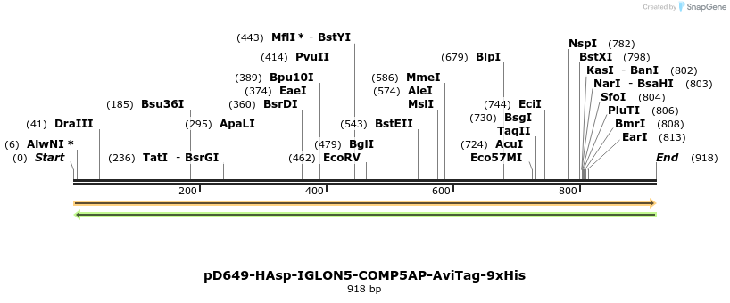 303724_map