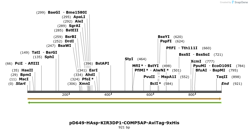 303730_map