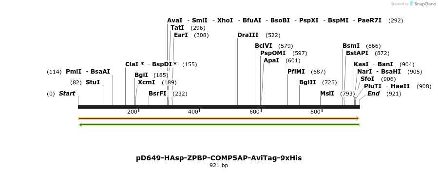 303732_map