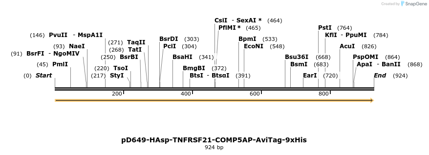 303734_map