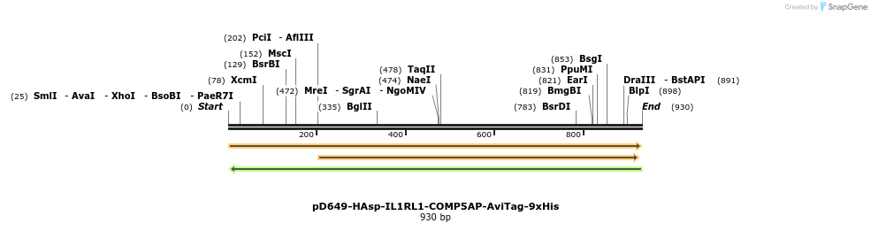 303738_map