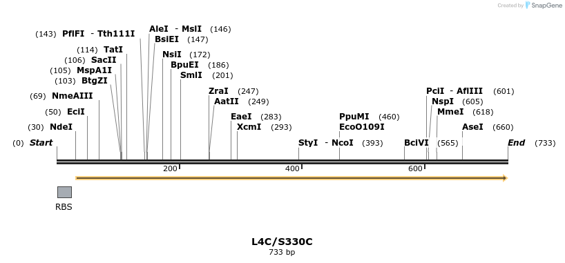 30374_map