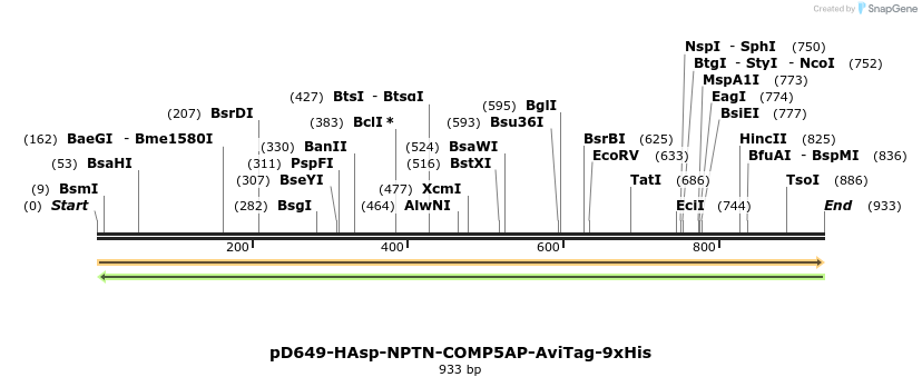 303740_map