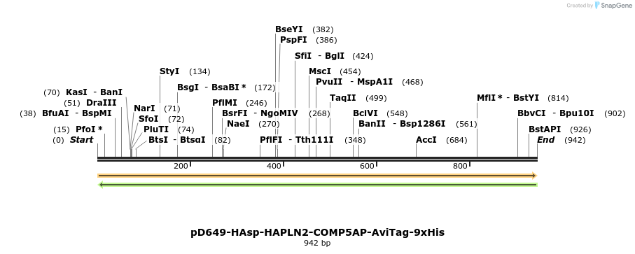 303742_map