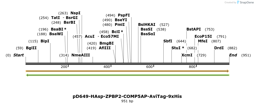 303746_map