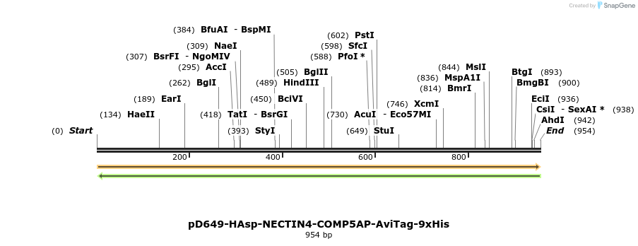 303748_map