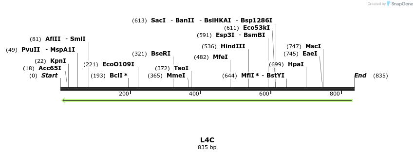 30375_map