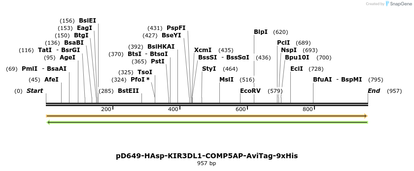303752_map