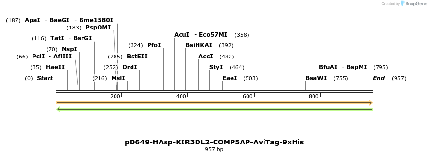 303754_map