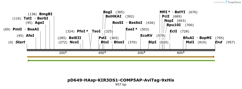 303756_map