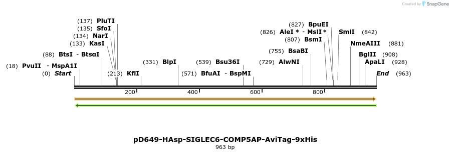 303762_map