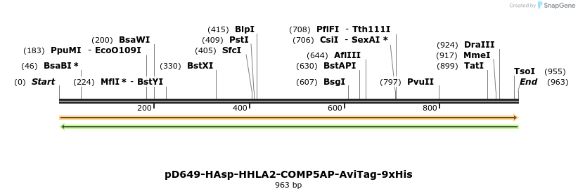 303764_map