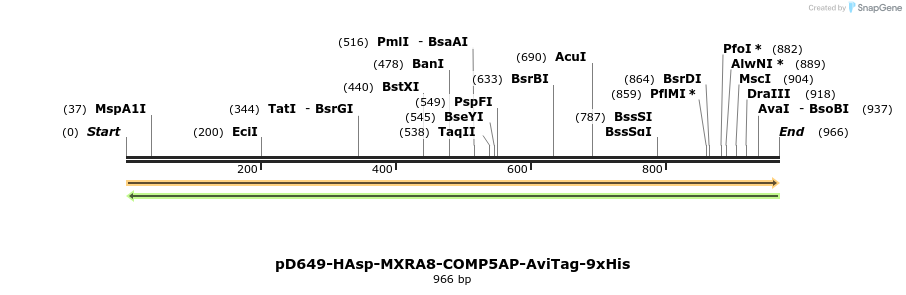 303766_map