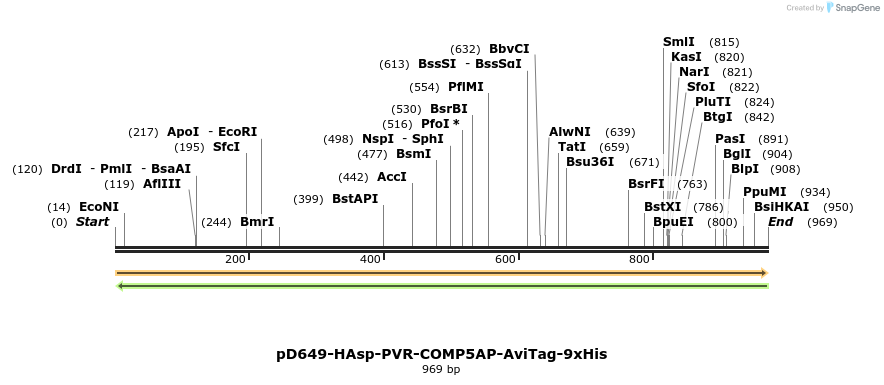 303768_map