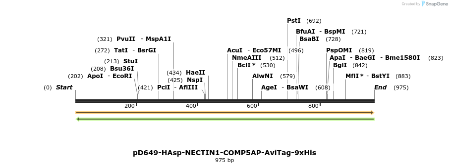 303770_map