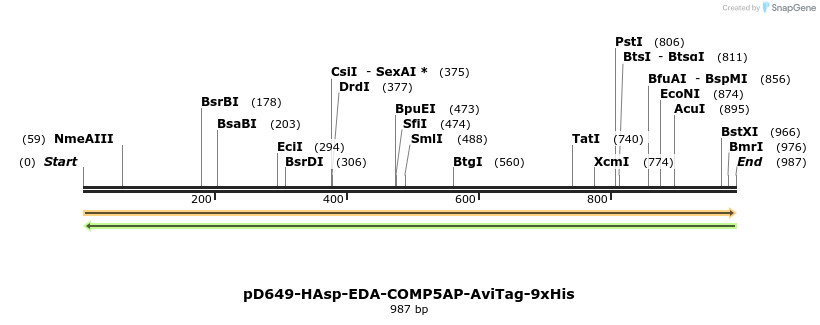 303774_map