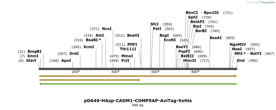 303778_map