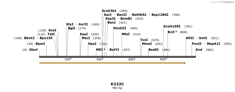 30378_map