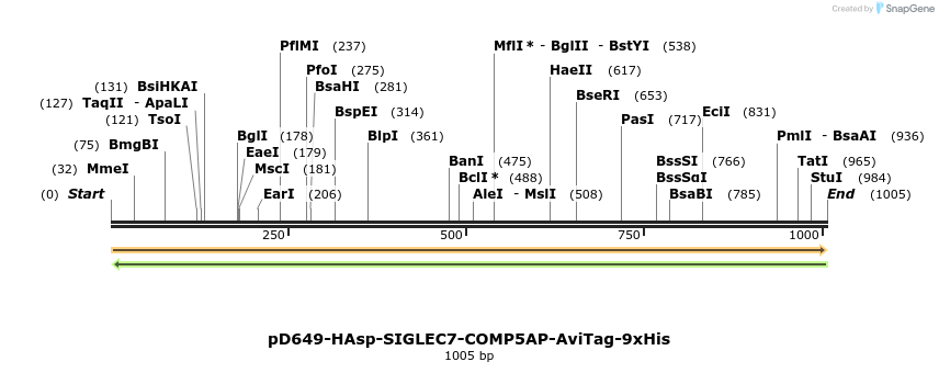 303784_map