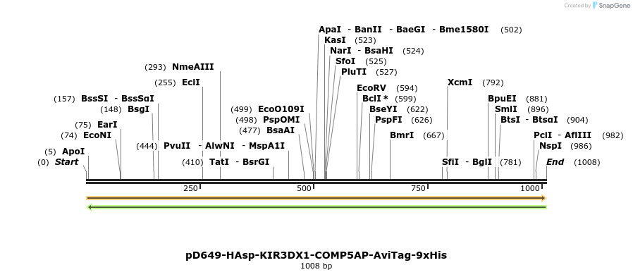 303786_map