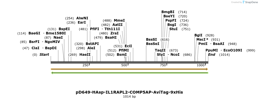 303790_map