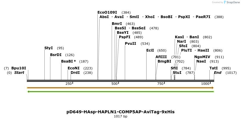 303792_map