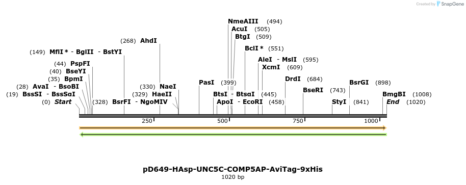303796_map