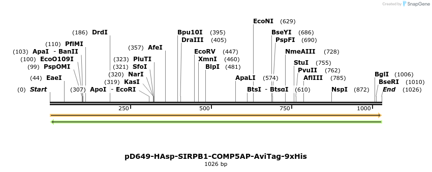 303798_map