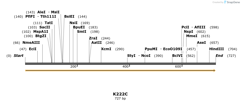 30380_map