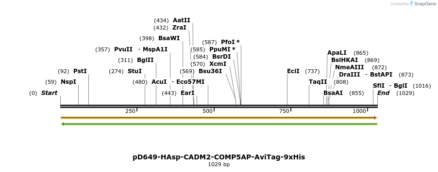 303806_map