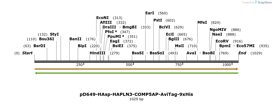 303808_map