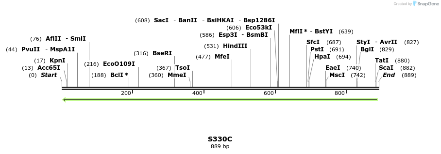 30381_map
