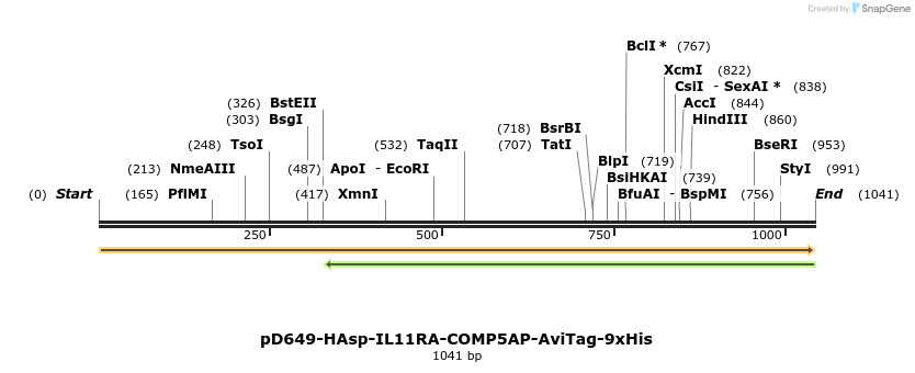 303814_map