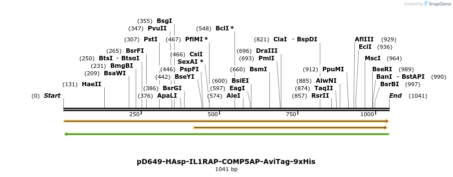 303818_map