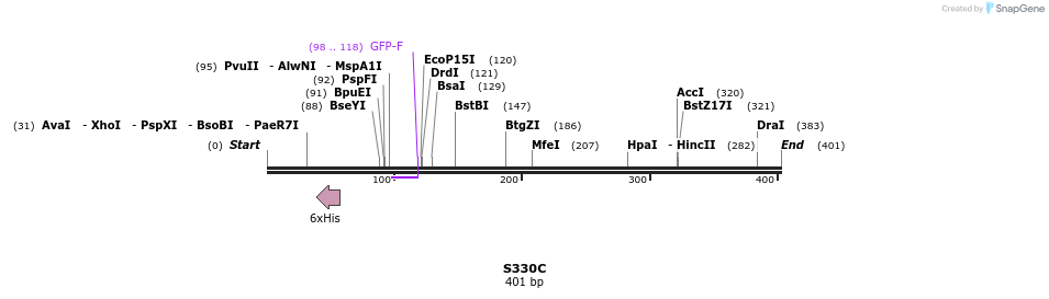 30382_map