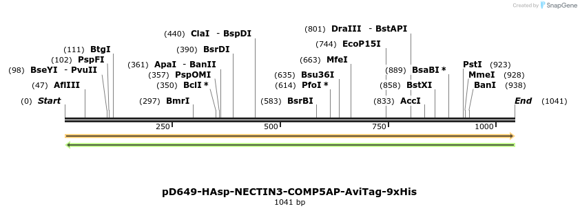 303820_map