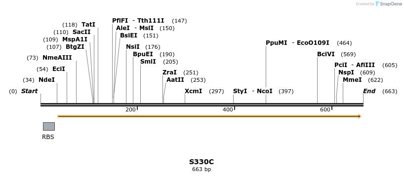30383_map