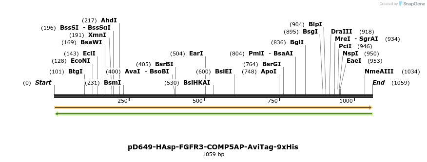 303830_map