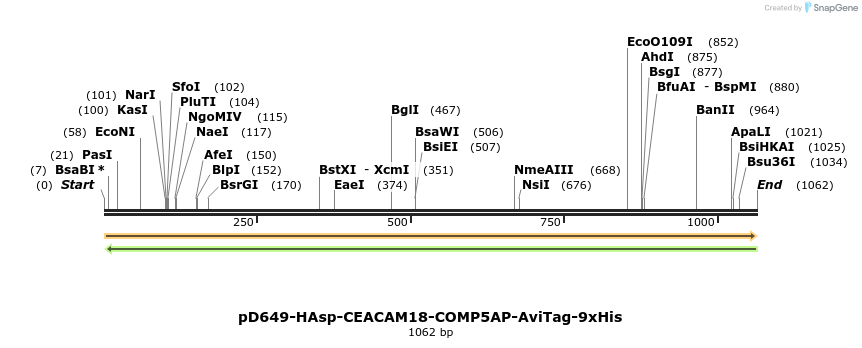 303832_map