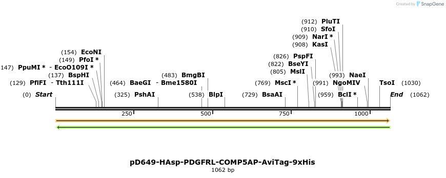 303834_map