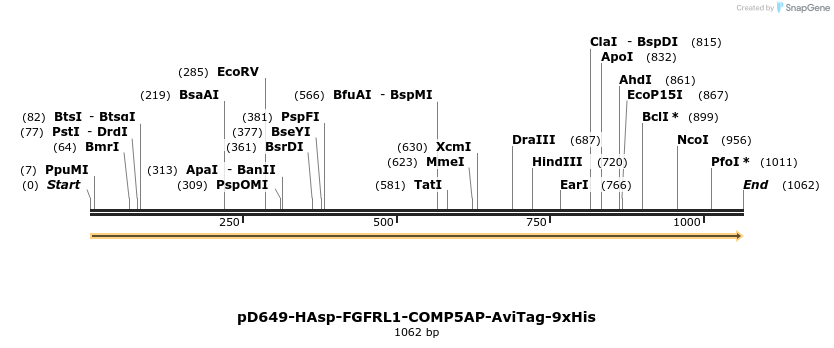 303836_map