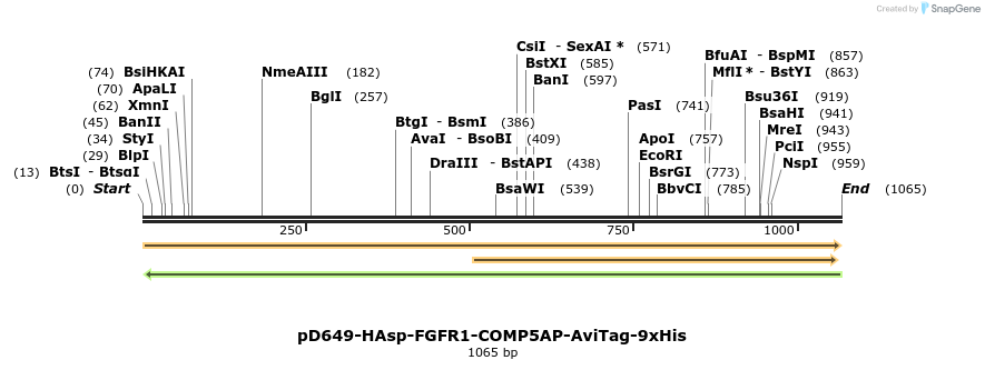 303838_map