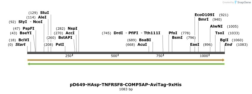 303846_map